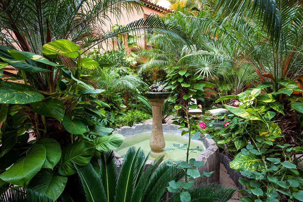 Hotel Livvo La Quinta Roja Гарачико Екстер'єр фото